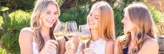 2021 Mazaika Cabernet Sauvignon | Levendi Winery