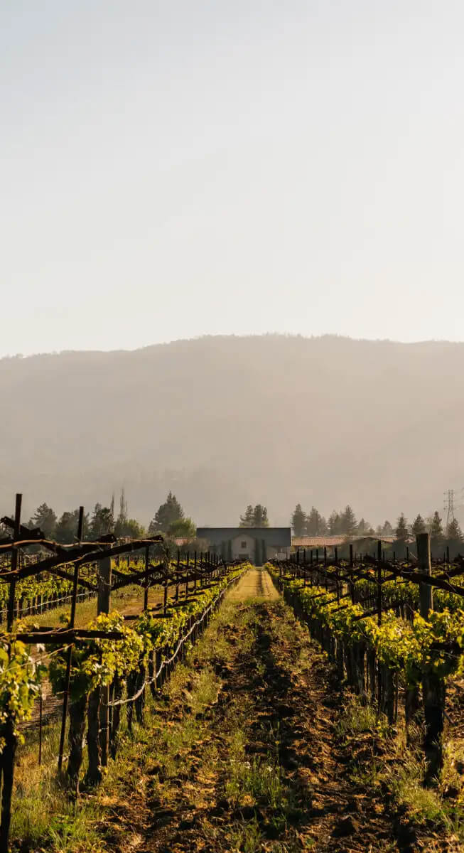 2016 Cabernet Sauvignon 'RLC' | Crocker & Starr